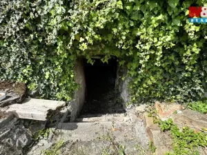 Prodej rodinného domu, Černovice, Dobešovská, 300 m2