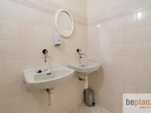 Prodej vícegeneračního domu, Merklín, 279 m2