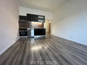 Pronájem bytu 3+kk, Brno, Merhautova, 74 m2