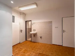 Prodej obchodního prostoru, Přerov, Wilsonova, 280 m2