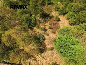 Prodej pozemku pro bydlení, Rapšach, 8139 m2