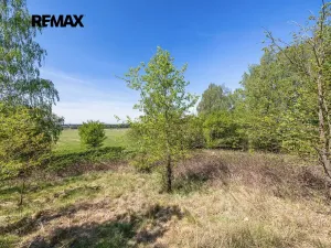 Prodej pozemku pro bydlení, Rapšach, 8139 m2