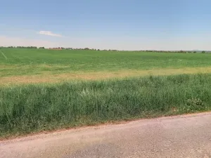 Prodej pozemku, Mečeříž, 6741 m2