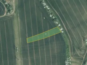 Prodej pole, Kroměříž, 10084 m2