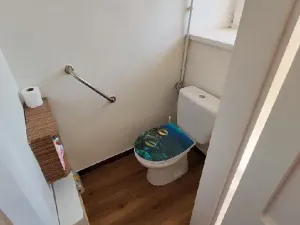 Pronájem bytu 2+1, Prostějov, Rejskova, 75 m2