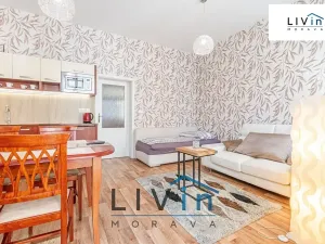 Pronájem bytu 2+kk, Olomouc, Masarykova třída, 55 m2