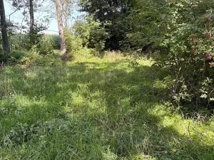 Prodej chalupy, Ratboř, 161 m2