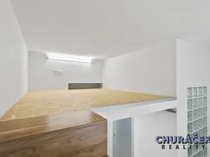 Pronájem bytu 1+kk, Praha - Nusle, Oldřichova, 20 m2
