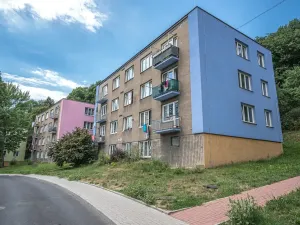 Pronájem bytu 2+1, Litvínov, Alešova, 51 m2
