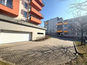 Pronájem ostatní, Brno - Žebětín, Říčanská
