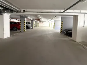 Pronájem ostatní, Brno - Žebětín, Říčanská