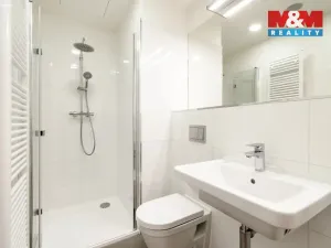 Pronájem bytu 2+kk, Praha - Vinohrady, Perucká, 37 m2