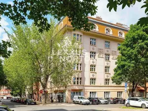 Prodej bytu 2+kk, Praha - Žižkov, Ševčíkova, 91 m2