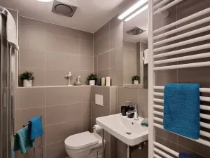 Pronájem bytu 1+kk, Brno, Mlýnská, 24 m2