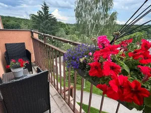 Prodej bytu 4+1, Orlová, Lesní, 78 m2