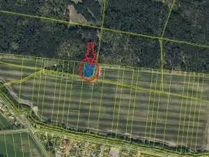 Prodej podílu lesa, Břehy, 1092 m2