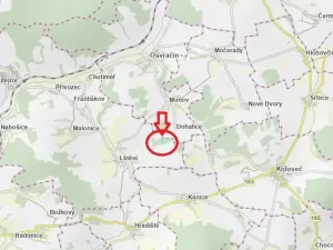 Prodej podílu lesa, Blížejov, 1818 m2