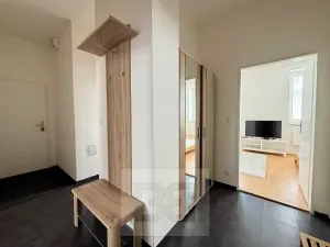 Pronájem bytu 2+kk, Brno, Cejl, 50 m2