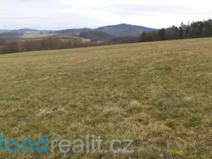 Prodej pole, Srby, 12056 m2