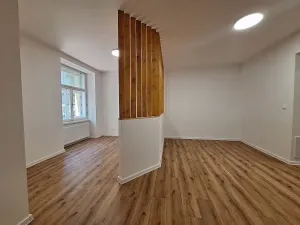 Pronájem bytu 1+1, Praha - Bubeneč, U zeměpisného ústavu, 37 m2