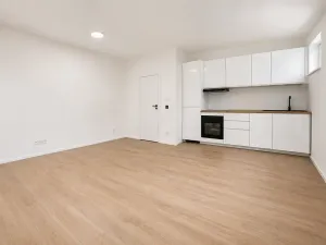Prodej bytu 2+kk, Brno, Zvěřinova, 46 m2