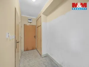 Prodej bytu 1+1, Orlické Záhoří, 39 m2