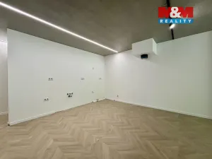 Prodej bytu 3+kk, Ostrava - Radvanice, Dvořáčkova, 105 m2