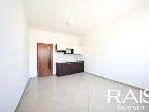 Prodej bytu 1+kk, Brno, Svitavská, 29 m2