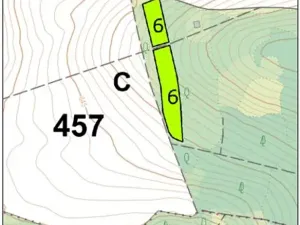 Prodej lesa, Dolní Hořice, 4311 m2