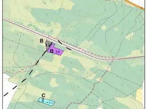 Prodej lesa, Dolní Hořice, 6269 m2