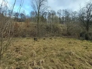 Dražba pozemku, Kamenický Šenov, 2791 m2