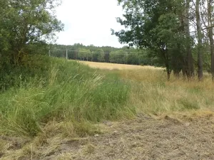 Dražba zahrady, Heřmanova Huť, 1100 m2