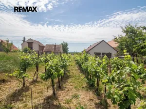 Prodej pozemku pro bydlení, Prušánky, 1448 m2