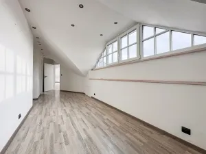 Prodej bytu 4+kk, Praha, 209 m2