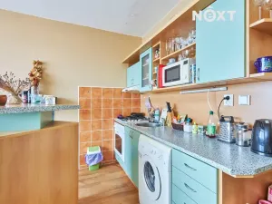 Pronájem bytu 1+1, České Budějovice, Větrná, 39 m2