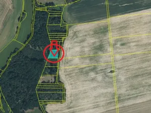 Prodej lesa, Puclice, 13840 m2