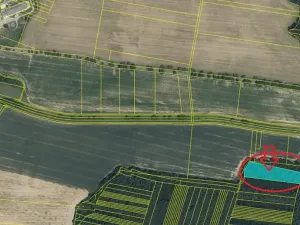Prodej lesa, Puclice, 13840 m2