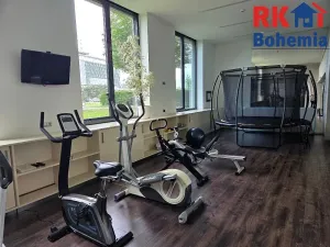 Pronájem bytu 2+kk, Praha - Nusle, K sídlišti, 39 m2