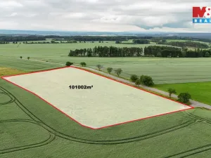 Prodej pole, Ostrov u Bezdružic - Krsov, 101002 m2