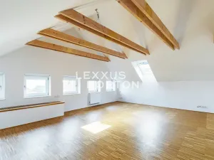 Pronájem rodinného domu, Praha - Smíchov, Pod Závěrkou, 350 m2