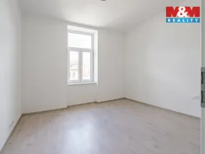 Pronájem bytu 1+kk, České Budějovice - České Budějovice 3, Rudolfovská tř., 23 m2