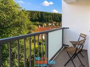 Pronájem bytu 2+kk, Štěchovice, Vltavská, 56 m2