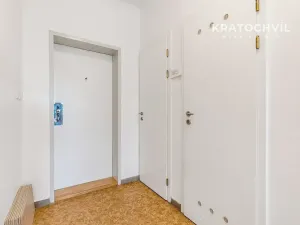 Prodej bytu 2+kk, Vestec, U Strouhy, 41 m2