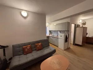 Pronájem bytu 1+kk, Liberec, 28 m2