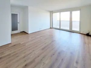 Pronájem bytu 3+kk, Brno, U Červeného mlýna, 97 m2