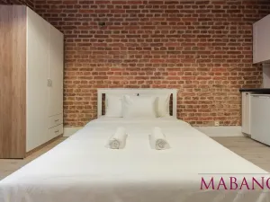 Pronájem bytu 1+kk, Praha - Žižkov, Lucemburská, 24 m2