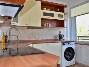 Pronájem bytu 3+1, České Budějovice, Dobrovodská, 66 m2
