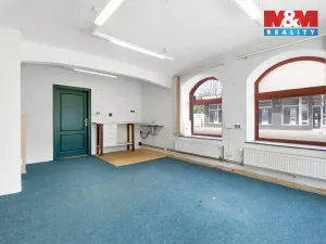 Prodej činžovního domu, Ústí nad Labem - Krásné Březno, Plavecká, 172 m2
