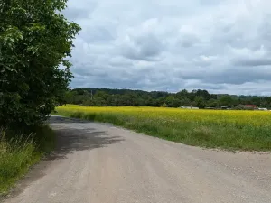 Prodej zahrady, Nová Ves, 658 m2