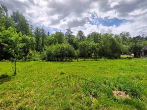 Prodej pozemku, Pohled, Rouštany, 2377 m2